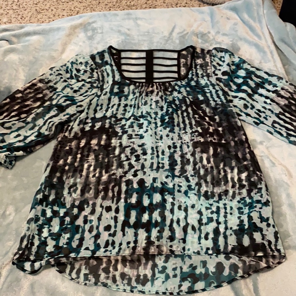 Sheer Blouse